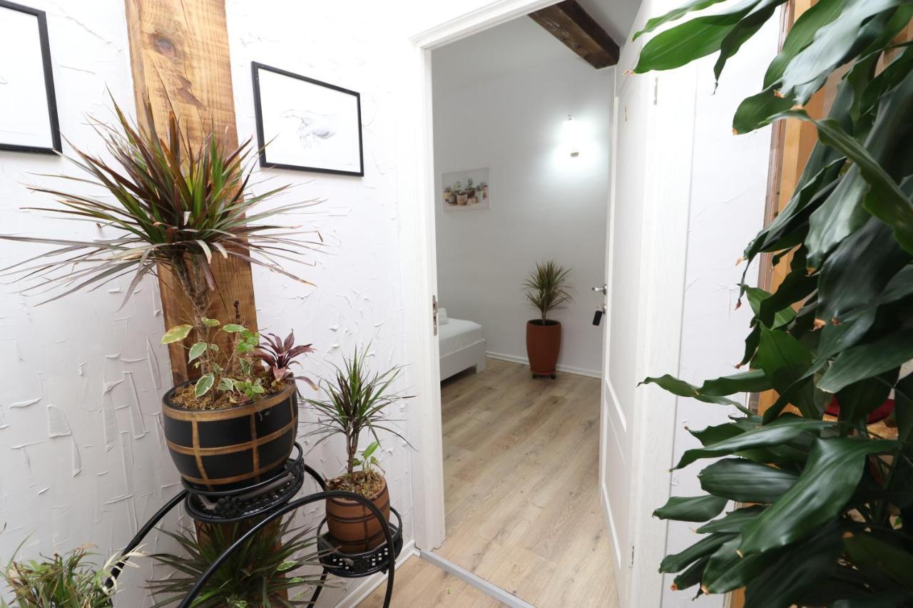 Bed and Breakfast Gaia Wlora Zewnętrze zdjęcie